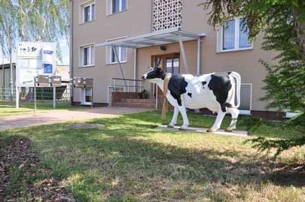 Lage der Agrargenossenschaft Trebitz in Bad Schmiedeberg, Ortsteil Trebitz