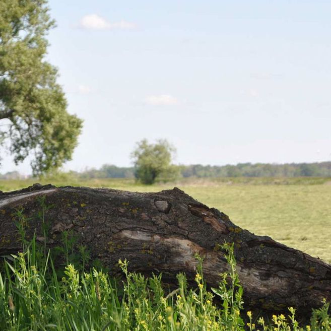 Impressionen von Agrargenossenschaft Trebitz in Bad Schmiedeberg, Ortsteil Trebitz