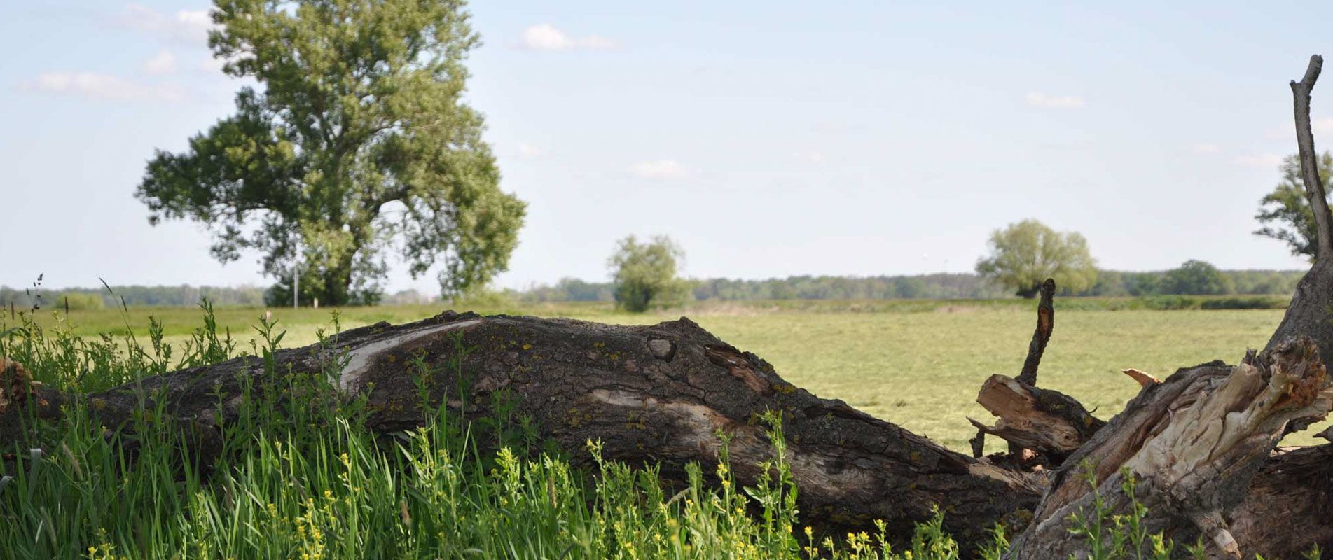 Agrargenossenschaft Trebitz in Bad Schmiedeberg
