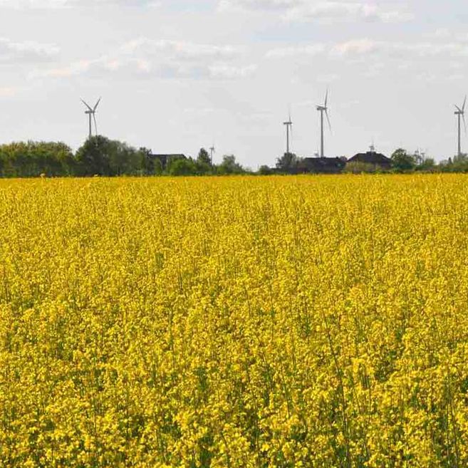 Impressionen von Agrargenossenschaft Trebitz in Bad Schmiedeberg, Ortsteil Trebitz