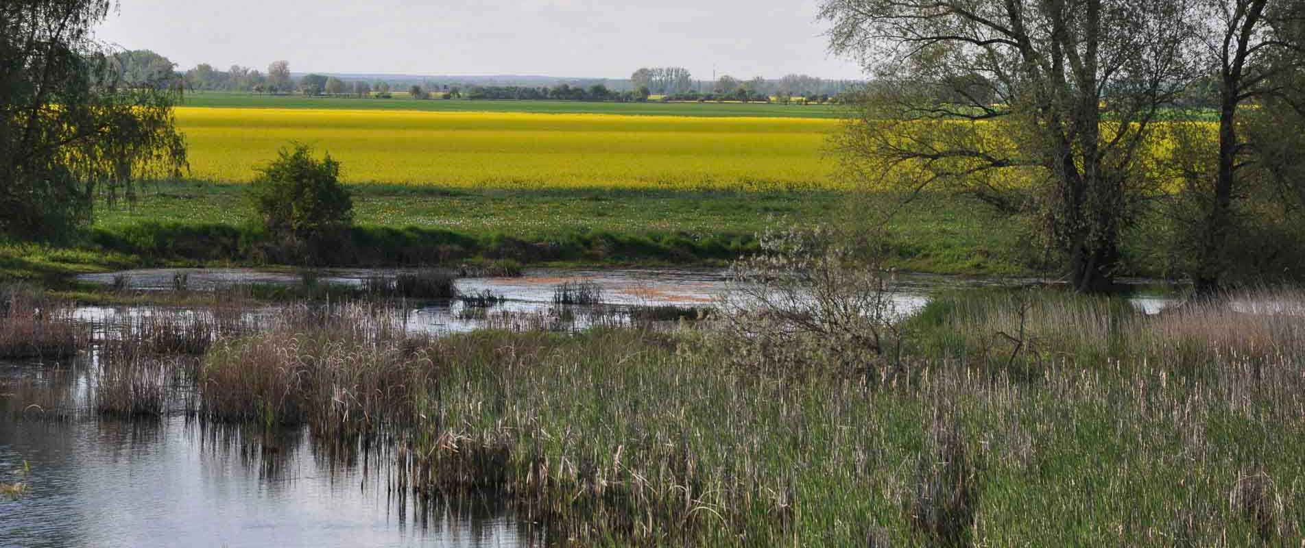 Agrargenossenschaft Trebitz in Bad Schmiedeberg