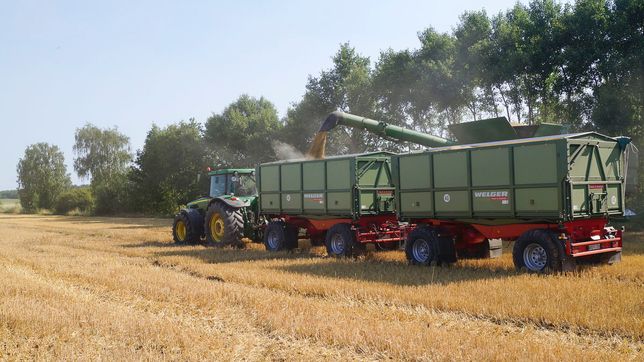 Pflanzenbau der Agrargenossenschaft Trebitz in Bad Schmiedeberg, Ortsteil Trebitz