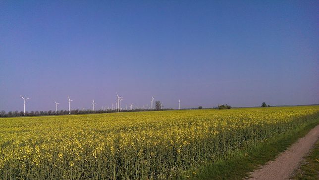 Pflanzenbau der Agrargenossenschaft Trebitz in Bad Schmiedeberg, Ortsteil Trebitz