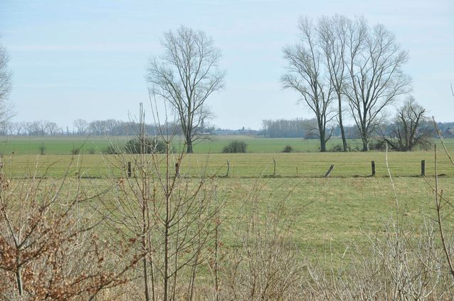 Tierhaltung der Agrargenossenschaft Trebitz in Bad Schmiedeberg, Ortsteil Trebitz