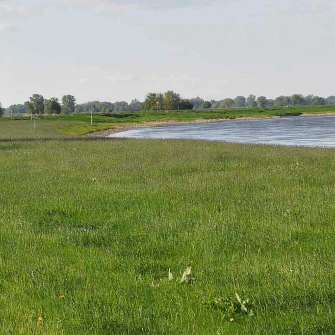 Impressionen von Agrargenossenschaft Trebitz in Bad Schmiedeberg, Ortsteil Trebitz