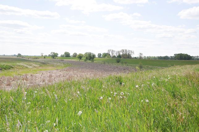 Pflanzenbau der Agrargenossenschaft Trebitz in Bad Schmiedeberg, Ortsteil Trebitz