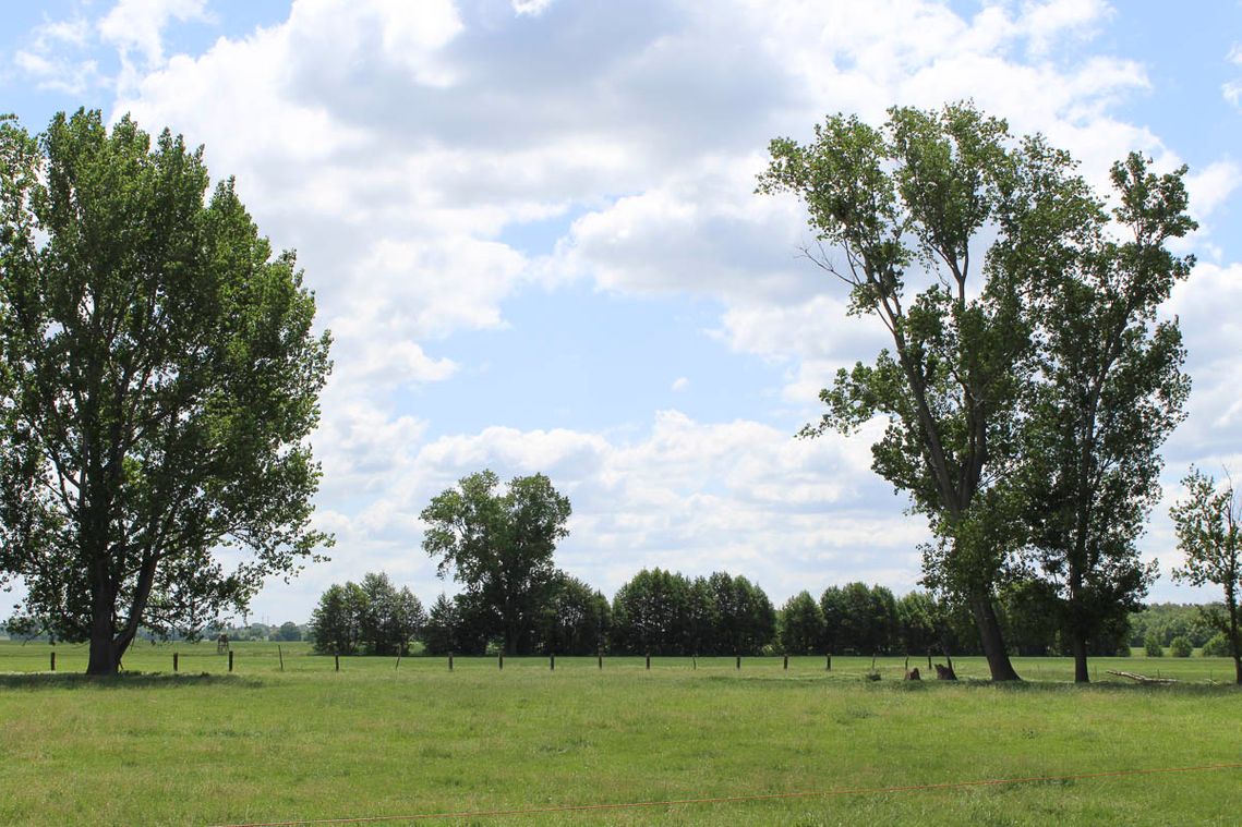 Impressionen von Agrargenossenschaft Trebitz in Bad Schmiedeberg, Ortsteil Trebitz