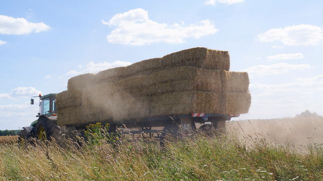 Pflanzenbau der Agrargenossenschaft Trebitz in Bad Schmiedeberg, Ortsteil Trebitz