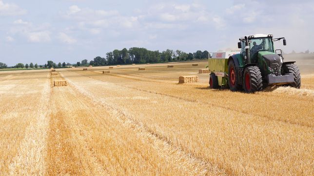 Pflanzenbau der Agrargenossenschaft Trebitz in Bad Schmiedeberg, Ortsteil Trebitz