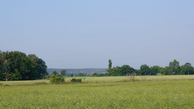 Pflanzenbau der Agrargenossenschaft Trebitz in Bad Schmiedeberg, Ortsteil Trebitz