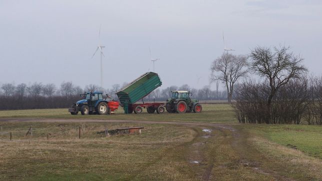 Pflanzenbau der Agrargenossenschaft Trebitz in Bad Schmiedeberg, Ortsteil Trebitz