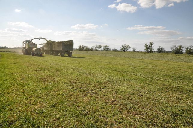 Pflanzenbau der Agrargenossenschaft Trebitz in Bad Schmiedeberg, Ortsteil Trebitz