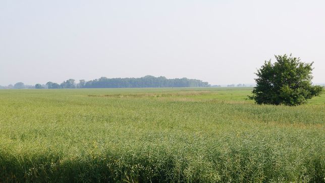 Pflanzenbau der Agrargenossenschaft Trebitz in Bad Schmiedeberg, Ortsteil Trebitz