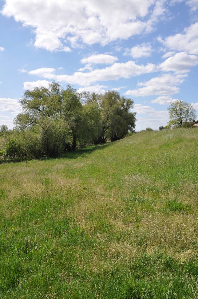 Pflanzenbau der Agrargenossenschaft Trebitz in Bad Schmiedeberg, Ortsteil Trebitz