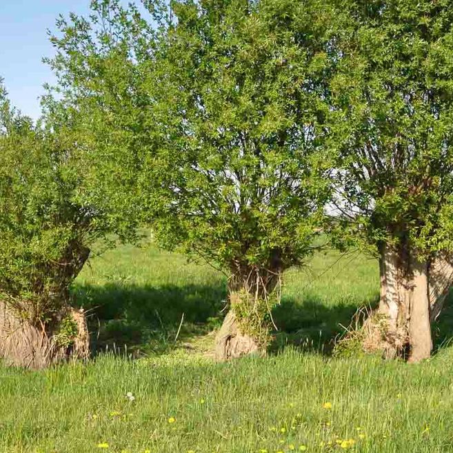 Impressionen von Agrargenossenschaft Trebitz in Bad Schmiedeberg, Ortsteil Trebitz