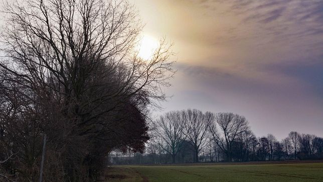 Pflanzenbau der Agrargenossenschaft Trebitz in Bad Schmiedeberg, Ortsteil Trebitz