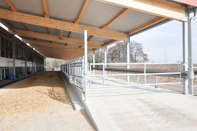 Tierhaltung der Agrargenossenschaft Trebitz in Bad Schmiedeberg, Ortsteil Trebitz