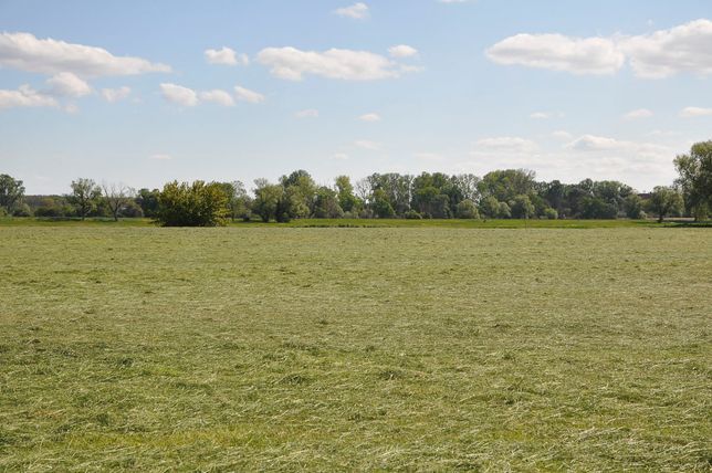 Pflanzenbau der Agrargenossenschaft Trebitz in Bad Schmiedeberg, Ortsteil Trebitz