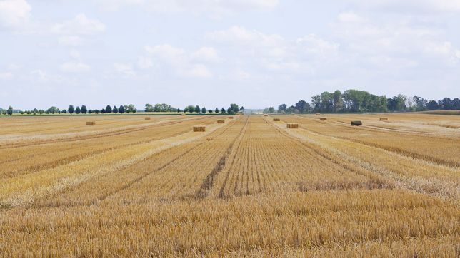 Pflanzenbau der Agrargenossenschaft Trebitz in Bad Schmiedeberg, Ortsteil Trebitz