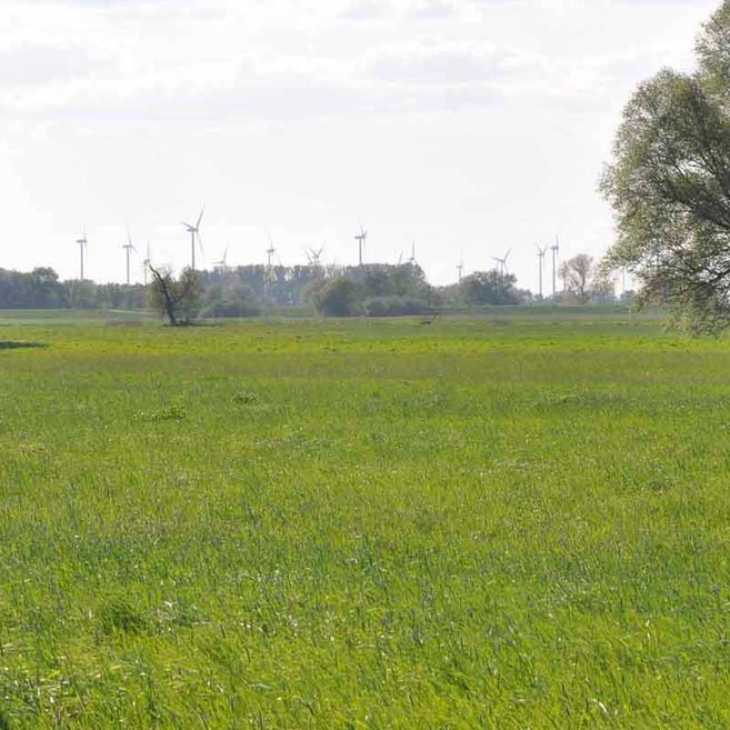 Impressionen von Agrargenossenschaft Trebitz in Bad Schmiedeberg, Ortsteil Trebitz