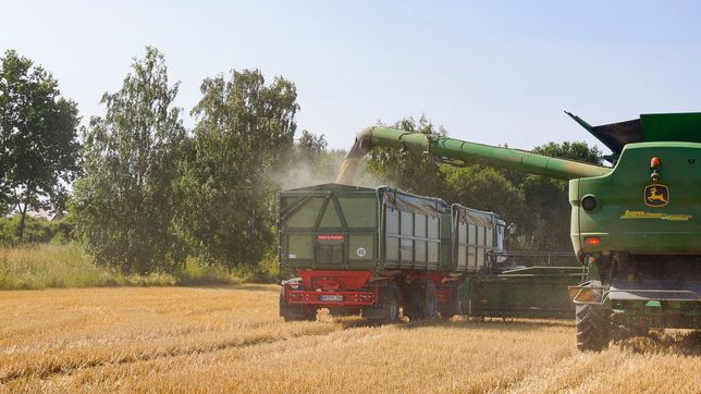 Pflanzenbau der Agrargenossenschaft Trebitz in Bad Schmiedeberg, Ortsteil Trebitz