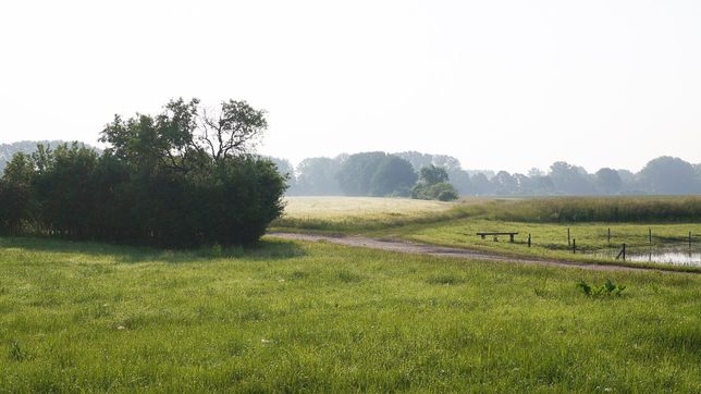 Pflanzenbau der Agrargenossenschaft Trebitz in Bad Schmiedeberg, Ortsteil Trebitz