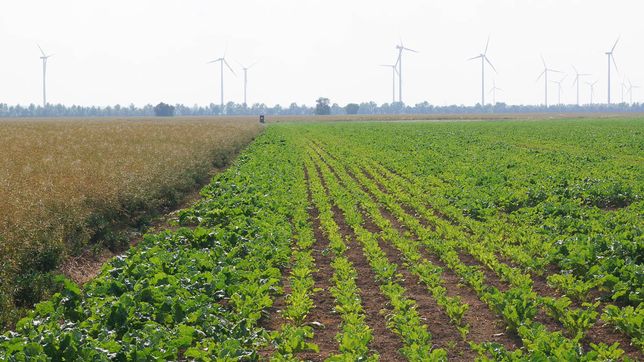 Pflanzenbau der Agrargenossenschaft Trebitz in Bad Schmiedeberg, Ortsteil Trebitz