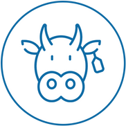 Icon für Milchvieh der Agrargenossenschaft Trebitz in Bad Schmiedeberg, Ortsteil Trebitz