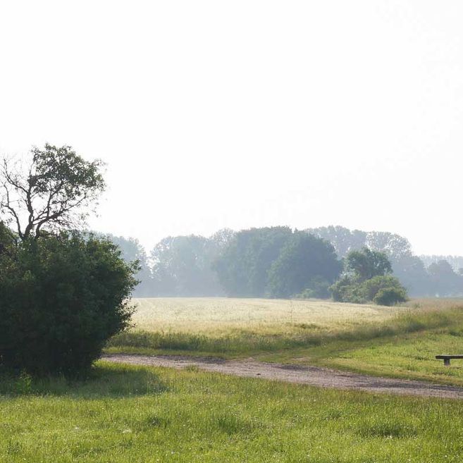 Impressionen von Agrargenossenschaft Trebitz in Bad Schmiedeberg, Ortsteil Trebitz