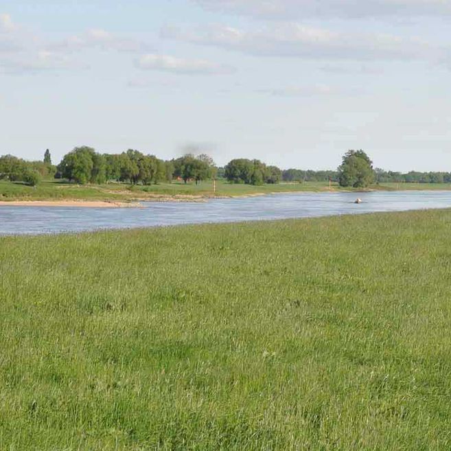 Impressionen von Agrargenossenschaft Trebitz in Bad Schmiedeberg, Ortsteil Trebitz