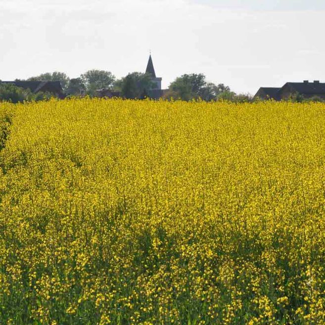 Impressionen von Agrargenossenschaft Trebitz in Bad Schmiedeberg, Ortsteil Trebitz