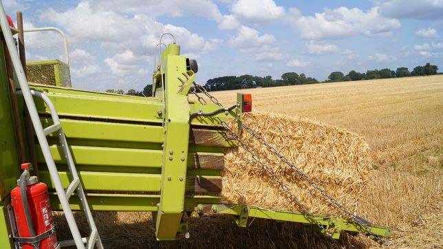 Pflanzenbau der Agrargenossenschaft Trebitz in Bad Schmiedeberg, Ortsteil Trebitz