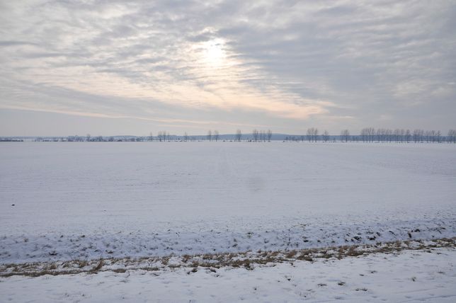 Pflanzenbau der Agrargenossenschaft Trebitz in Bad Schmiedeberg, Ortsteil Trebitz