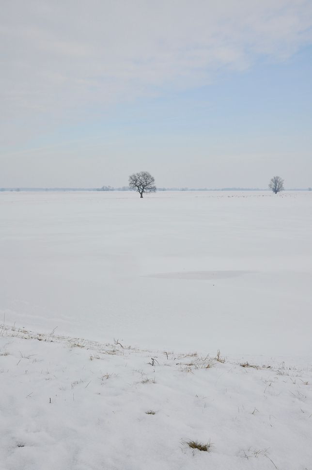 Pflanzenbau der Agrargenossenschaft Trebitz in Bad Schmiedeberg, Ortsteil Trebitz